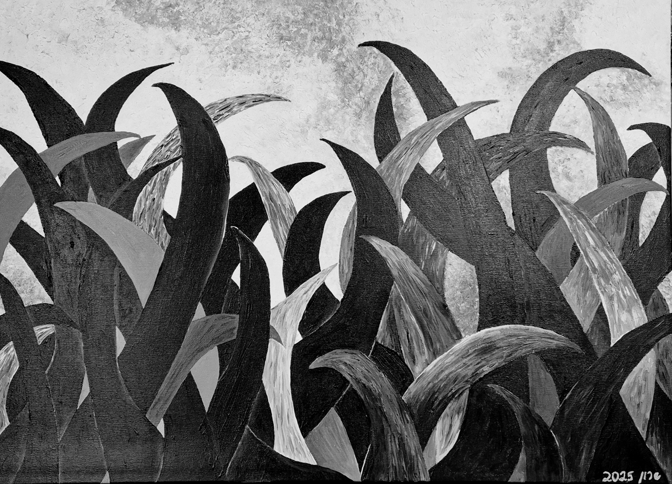 Black and White 70x50 Acrylic