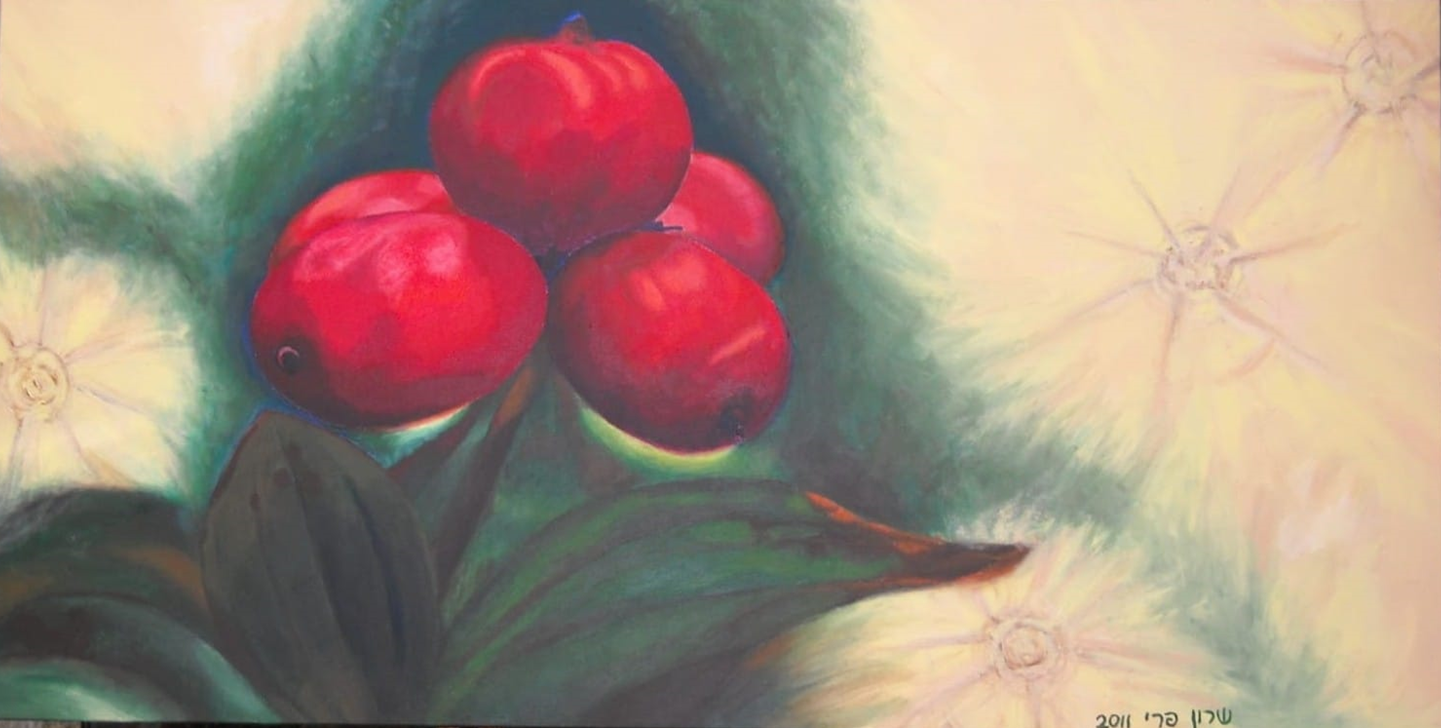 Red Fruits