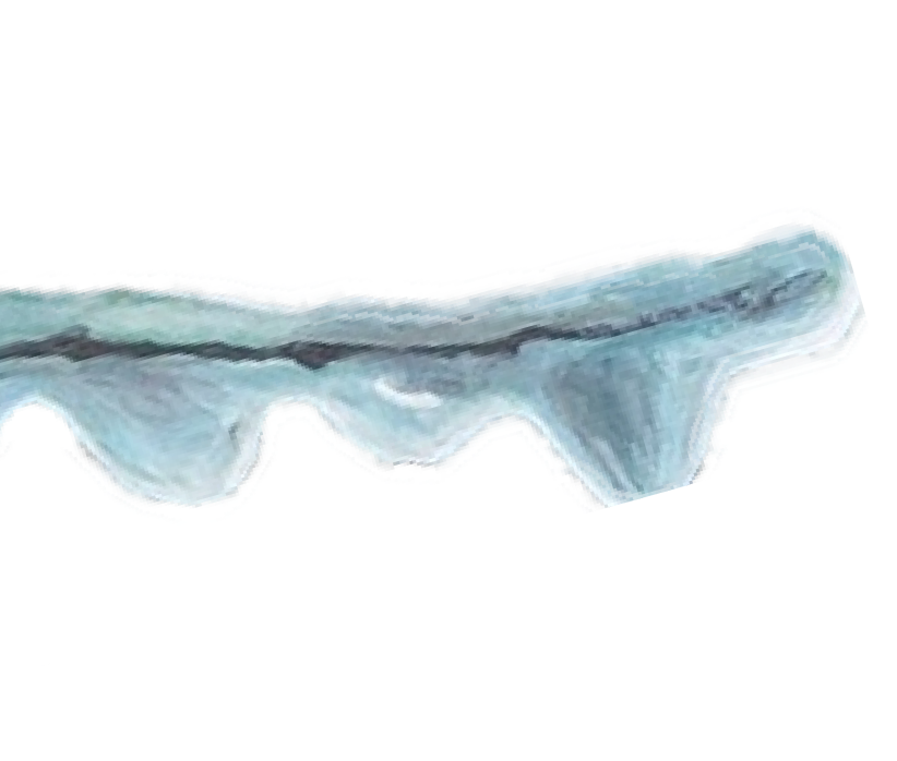 branch